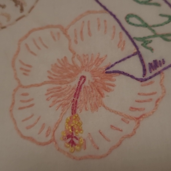 Vintage Hand Stitched Hawaii State Bird & Flower - Picture 5 of 16